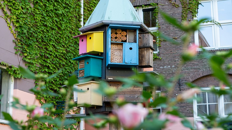 Bird Storage and Garden Ideas: Create a Beautiful, Organized Outdoor Haven